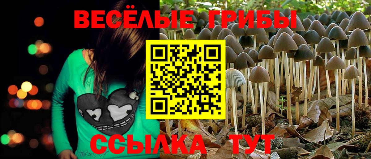 Сальск  Псилоцибиновые грибы GOLDEN TEACHER  Галлюциногенные грибы прущие грибы  Вход с VPN 