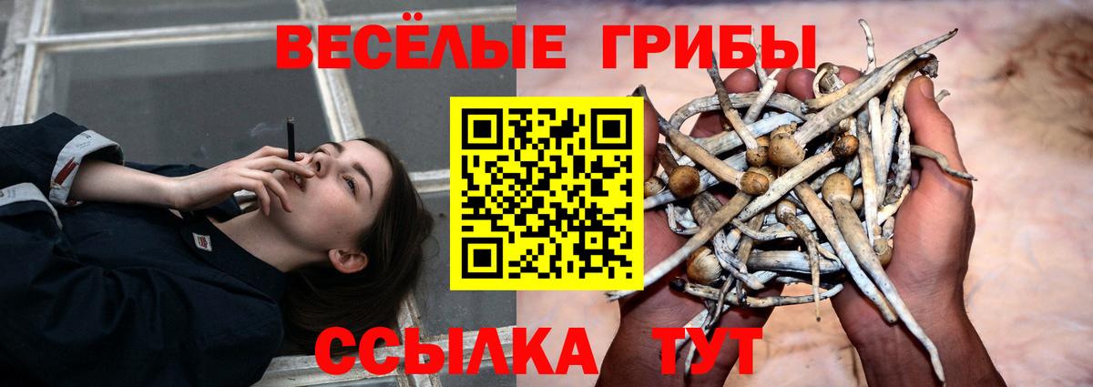 Галлюциногенные грибы мицелий Сальск